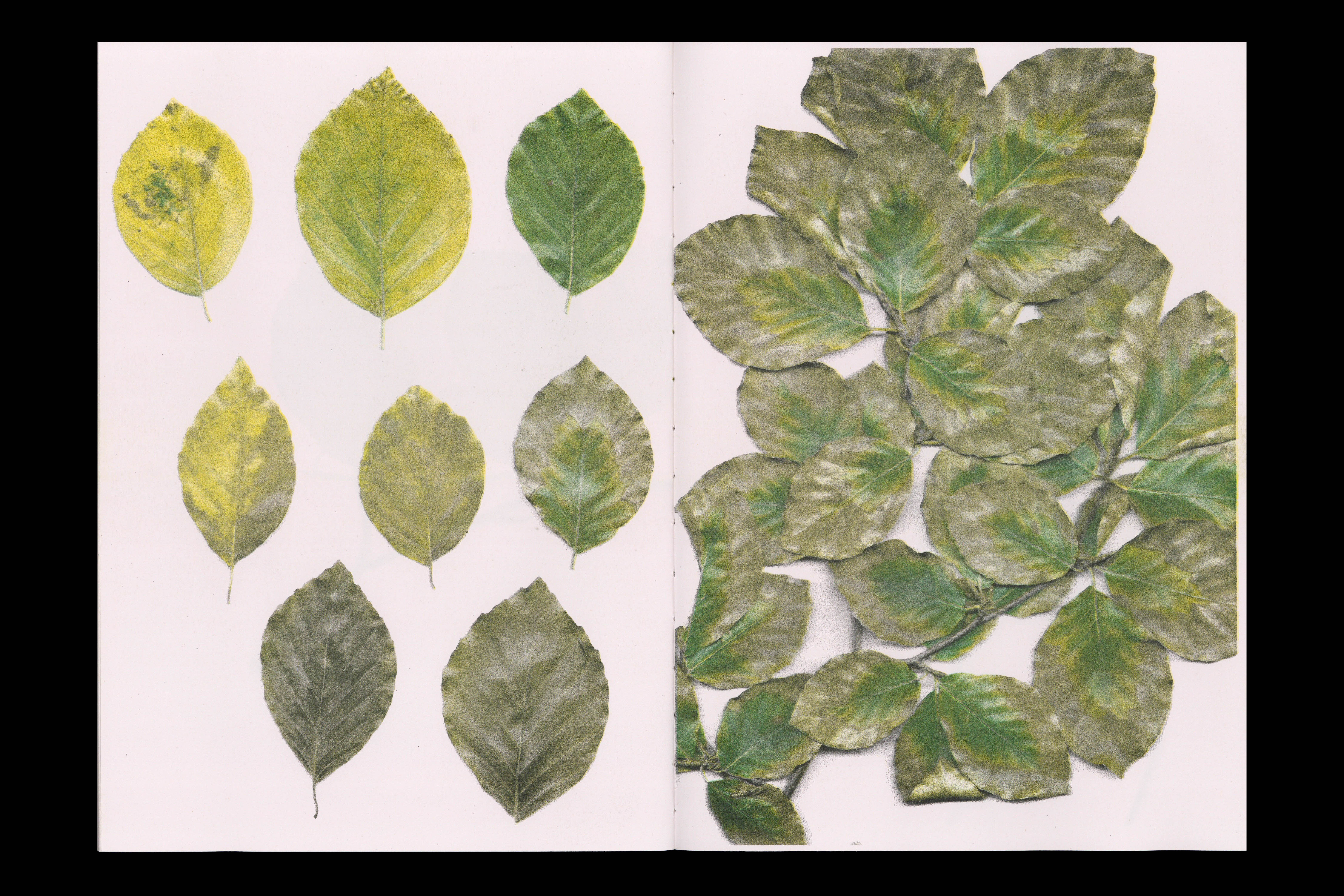 898 Beech Book (artist publication), for Christian+Jade